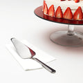 Silver Cake Slice & Serve
